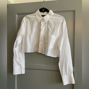Zara Cropped Open Back Button Down Shirt